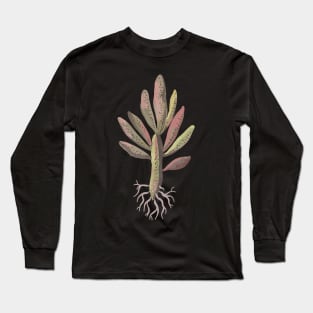 Succulent cutting Long Sleeve T-Shirt